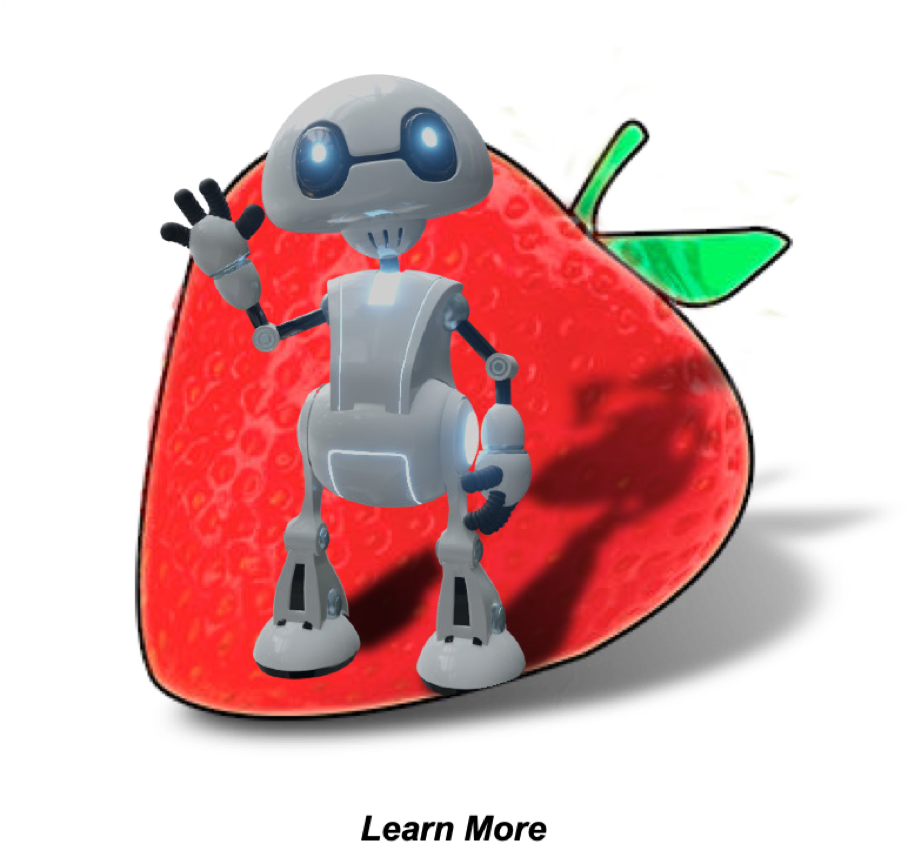 Berry Creative 3d animation Samples Icon