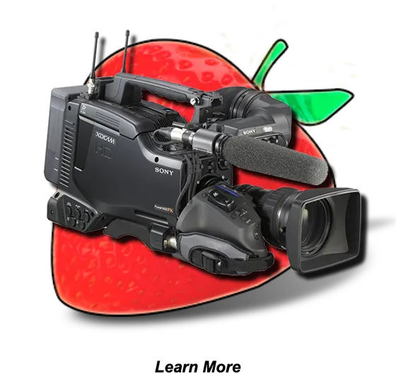 A Sony broadcast camera on a strawberry. Learn more.
